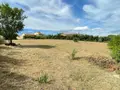 Terrain a batir a vendre Valensole 04210 Alpes-de-Haute-Provence 04 262600 euros 025/1864 004