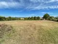 Terrain a batir a vendre Valensole 04210 Alpes-de-Haute-Provence 04 262600 euros 025/1864 006