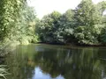 Terrains de loisirs bois etangs a vendre La Chapelle-Fleurigné 35133 Ille-et-Vilaine 35 62140 euros 036/731 001