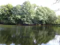 Terrains de loisirs bois etangs a vendre La Chapelle-Fleurigné 35133 Ille-et-Vilaine 35 62140 euros 036/731 002