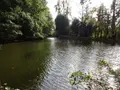 Terrains de loisirs bois etangs a vendre La Chapelle-Fleurigné 35133 Ille-et-Vilaine 35 62140 euros 036/731 004
