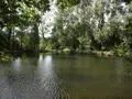 Terrains de loisirs bois etangs a vendre La Chapelle-Fleurigné 35133 Ille-et-Vilaine 35 62140 euros 036/731 005