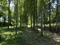 Terrains de loisirs bois etangs a vendre Poilley 35420 Ille-et-Vilaine 35 14840 euros 036/689 003