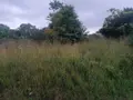 Terrain a batir a vendre Loperhet 29470 Finistère 29 84320 euros 1858 001