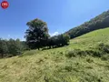 Terrain a batir a vendre Montsalvy 15120 Cantal 15 800 m2 28000 euros 10627/968 003