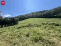 Terrain a batir a vendre Montsalvy 15120 Cantal 15 800 m2 28000 euros 10627/968 004