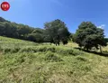Terrain a batir a vendre Montsalvy 15120 Cantal 15 800 m2 28000 euros 10627/968 005