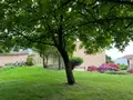 Maison a vendre Pugnac 33710 Gironde 33 218 m2 7 pièces 436800 euros 118/1536 025