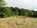 Terrain a batir a vendre Thivet 52800 Haute-Marne 52 40000 euros 020/985 005