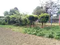 Maison a vendre Saint-Martin-de-Connée 53160 Mayenne 53 69 m2 5 pièces 115640 euros 1320 005