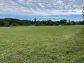 Terrain a batir a vendre Cour-Cheverny 41700 Loir-et-Cher 41 550 m2 49000 euros 001/2117 001