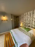 Fonds et murs commerciaux a vendre Arc-en-Barrois 52210 Haute-Marne 52 300 m2 25 pièces 212000 euros 52020-1058330 016