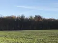 Terrains de loisirs bois etangs a vendre Farges-lès-Chalon 71150 Saône-et-Loire 71 22500 euros 13783/526 001