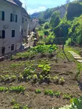 Appartement a vendre Plombières-les-Bains 88370 Vosges 88 50 m2 3 pièces 58800 euros 202400606 003