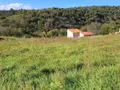 Terrain a batir a vendre Orbeil 63500 Puy-de-Dôme 63 971 m2 87000 euros 2024-14-2024281 002