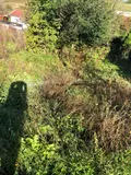 Terrain a batir a vendre Ligny-en-Barrois 55500 Meuse 55 17400 euros 55008/16 003