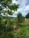 Terrain a batir a vendre Murat 15300 Cantal 15 16000 euros FG/2232 002