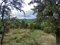 Terrain a batir a vendre Murat 15300 Cantal 15 16000 euros FG/2232 001