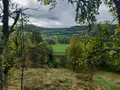 Terrain a batir a vendre Murat 15300 Cantal 15 16000 euros FG/2232 003