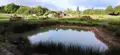 Bien agricole a vendre Saint-Georges-sur-la-Prée 18100 Cher 18 49864 euros 142517G 004