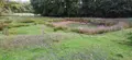 Bien agricole a vendre Saint-Georges-sur-la-Prée 18100 Cher 18 49864 euros 142517G 005