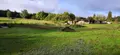 Bien agricole a vendre Saint-Georges-sur-la-Prée 18100 Cher 18 49864 euros 142517G 006