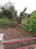 Maison a vendre Urciers 36160 Indre 36 60 m2 4 pièces 43000 euros 2416 019