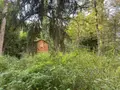 Terrains de loisirs bois etangs a vendre Vernou-sur-Brenne 37210 Indre-et-Loire 37 18900 euros 2024/1992 002