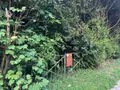 Terrains de loisirs bois etangs a vendre Vernou-sur-Brenne 37210 Indre-et-Loire 37 18900 euros 2024/1992 003