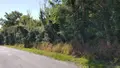 Terrain a batir a vendre Saint-Loup 41320 Loir-et-Cher 41 1260 m2 18780 euros 41036/2953 001