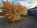 Maison a vendre Sauxillanges 63490 Puy-de-Dôme 63 168 m2 7 pièces 314500 euros 2024-21-2024190 012