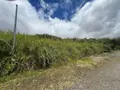Terrain a batir a vendre La Plaine-des-Palmistes 97431 La Réunion 974 233600 euros 97405/96 001