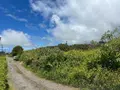 Terrain a batir a vendre La Plaine-des-Palmistes 97431 La Réunion 974 233600 euros 97405/96 004