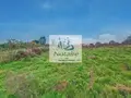Terrain a batir a vendre Le Villars 71700 Saône-et-Loire 71 980 m2 55000 euros 71022/326 004