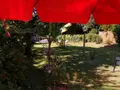 Maison a vendre Pluméliau-Bieuzy 56310 Morbihan 56 123 m2 6 pièces 230000 euros 063-346 005