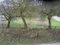 Terrain a batir a vendre Baraqueville 12160 Aveyron 12 42400 euros 1009165 002