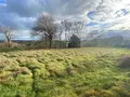 Terrain a batir a vendre Pleaux 15700 Cantal 15 2390 m2 21500 euros 15060/1183 003