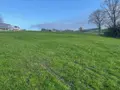 Terrain a batir a vendre La Chapelle-Gaugain 72310 Sarthe 72 19795 euros 13816/1102 001