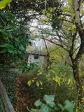 Maison a vendre Montipouret 36230 Indre 36 71 m2 58300 euros 2427 002