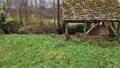 Maison a vendre Mézeray 72270 Sarthe 72 20 m2 31000 euros HB-1703 008