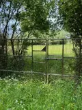 Terrains de loisirs bois etangs a vendre Villers-sur-Authie 80120 Somme 80 136649 euros 083/1869 007