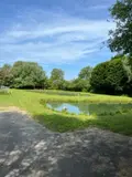 Terrains de loisirs bois etangs a vendre Villers-sur-Authie 80120 Somme 80 136649 euros 083/1869 008