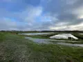Terrains de loisirs bois etangs a vendre Lingé 36220 Indre 36 659000 euros 1050201 002