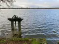 Terrains de loisirs bois etangs a vendre Lingé 36220 Indre 36 659000 euros 1050201 001