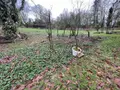 Maison a vendre Hernicourt 62130 Pas-de-Calais 62 218 m2 6 pièces 374760 euros 2367 015