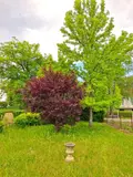 Maison a vendre Peschadoires 63920 Puy-de-Dôme 63 123 m2 8 pièces 149000 euros 2025-34-2025026 015