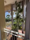 Appartement a vendre Saint-François 97118 Guadeloupe 971 57 m2 3 pièces 275000 euros 083/2011 010
