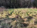 Terrain a batir a vendre Fains-Véel 55000 Meuse 55 1028 m2 33600 euros 55008/33 005