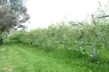 Bien agricole a vendre Soucé 53300 Mayenne 53 624000 euros 53075-DLS22016 003
