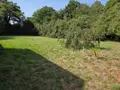 Terrain a batir a vendre Mayenne 53100 Mayenne 53 58000 euros 53075-FC 113 003